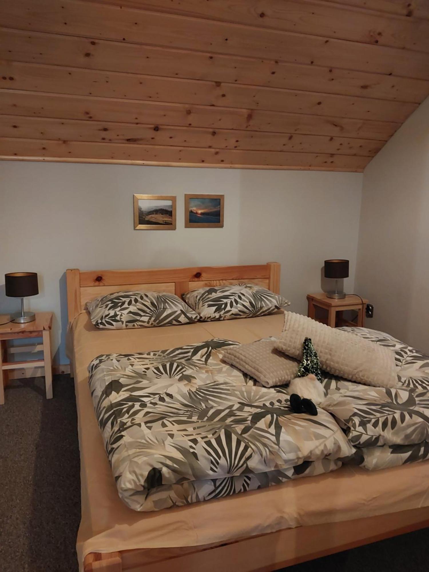 Zwardoniowka Apartamenty Pod Orawcowa Екстер'єр фото