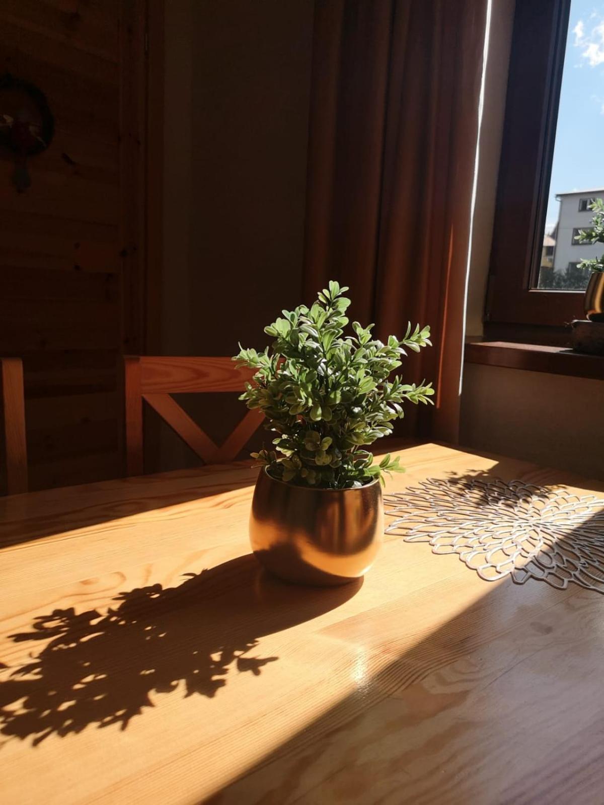Zwardoniowka Apartamenty Pod Orawcowa Екстер'єр фото